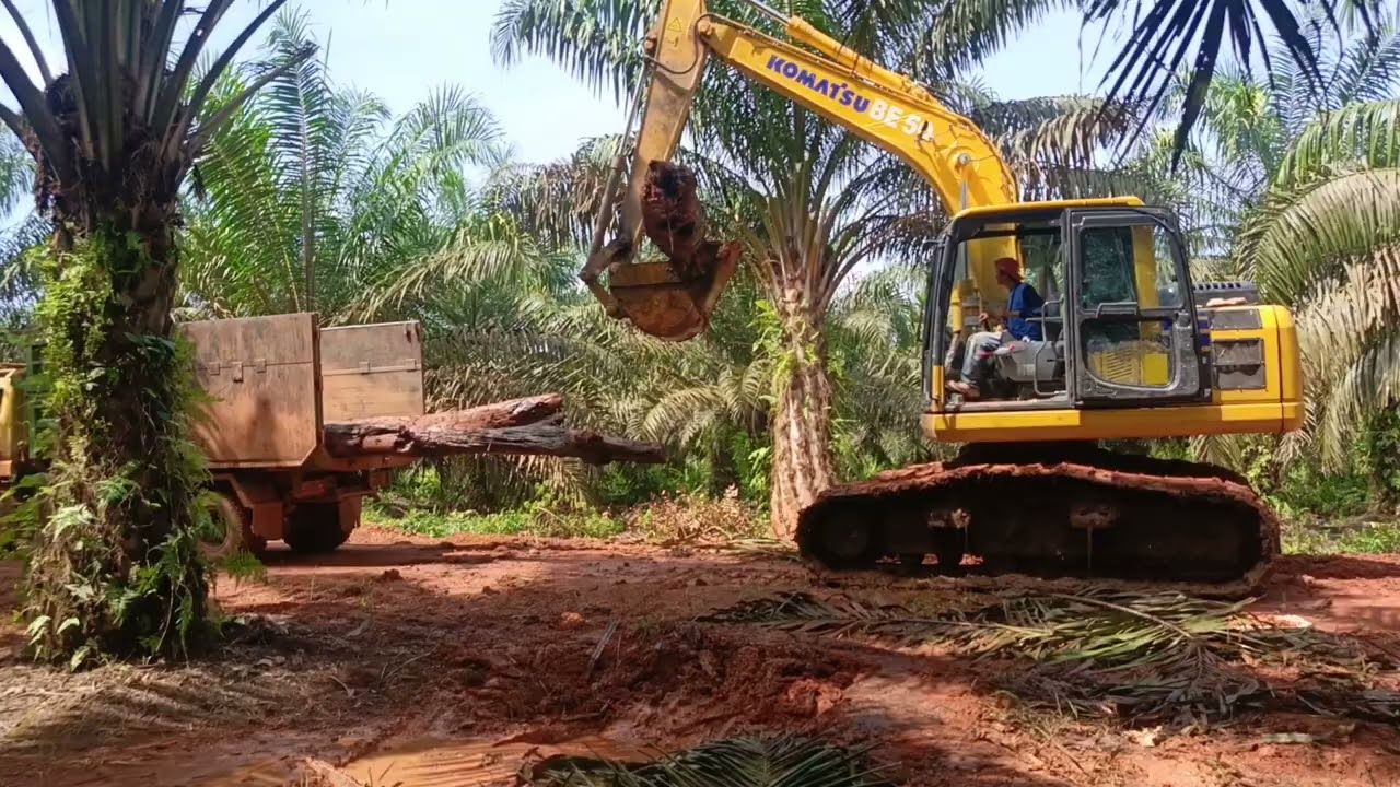 Muat layu dulu buat gorong-gorong yang jebol