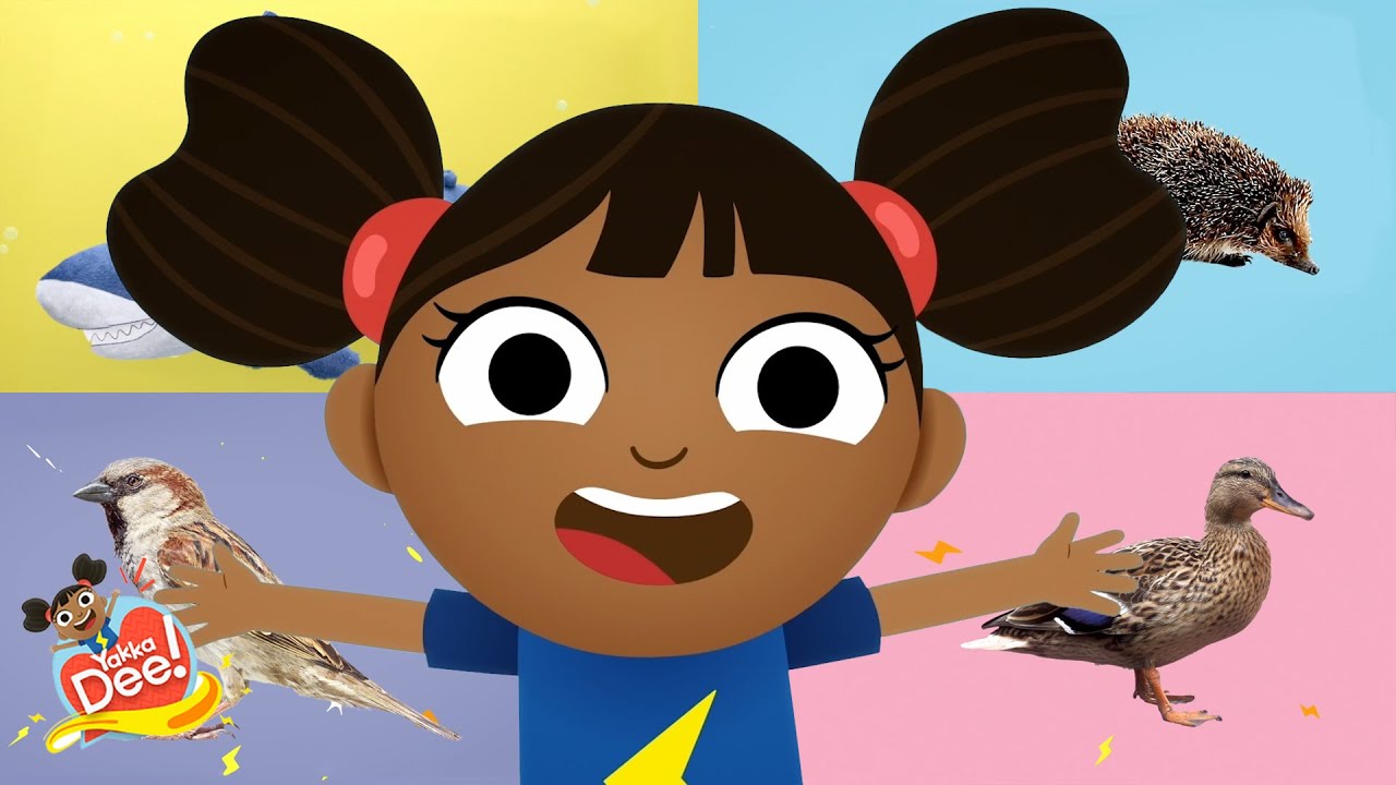 Aprendamos sobre los animales 🦆 | Yakka Dee Español Canal Oficial