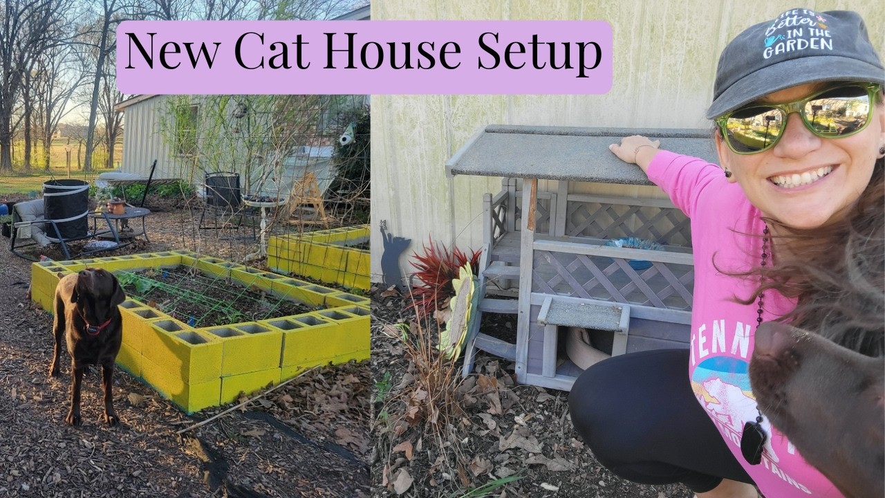 Creating a Cat Cottage Core Area! 🐱 Zone 7 Garden Cleanup