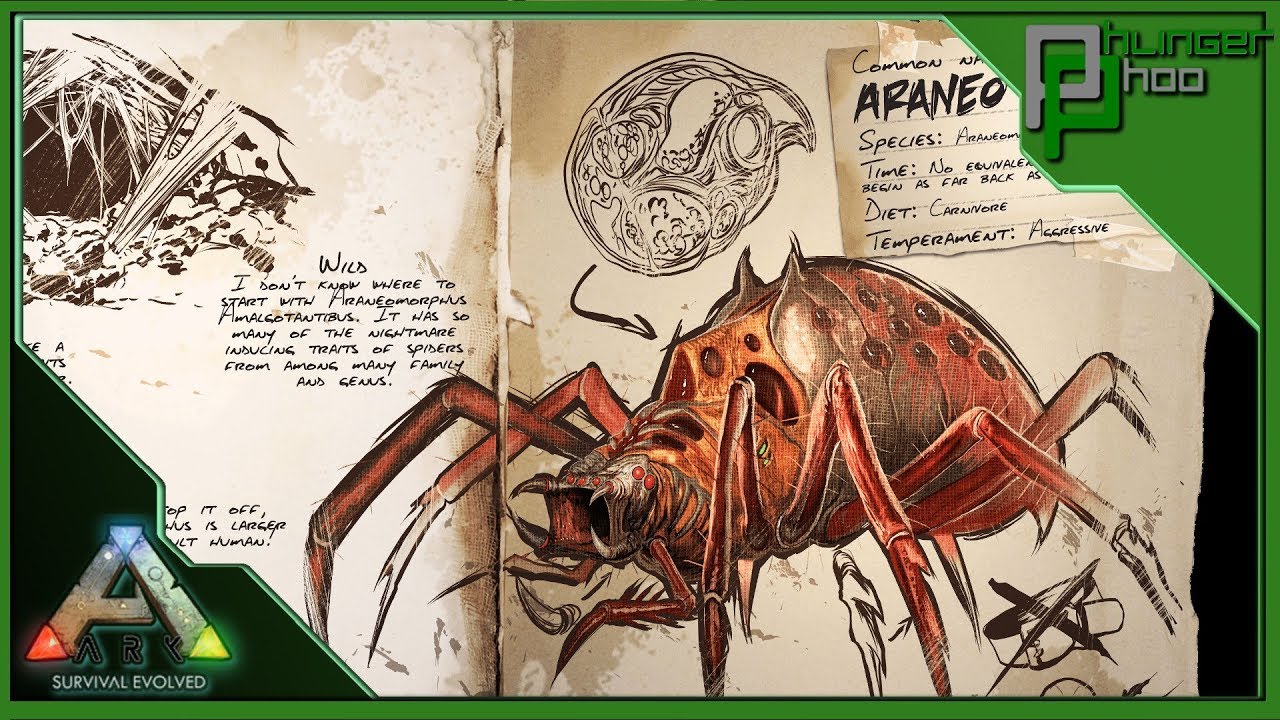 Ark Basics Araneo - EVERYTHING YOU NEED TO KNOW