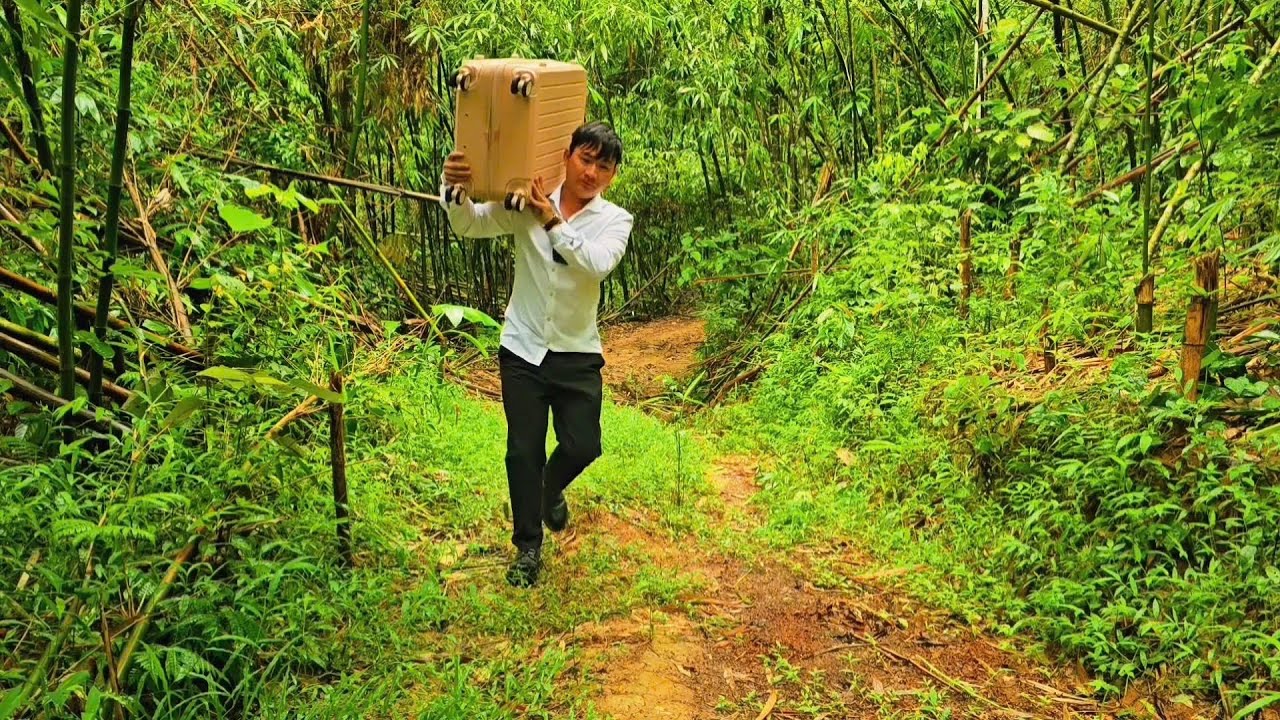 The Young Man Left The Bustling CiTy And Returns To His Hometown To Live And Work.