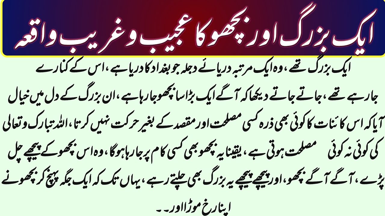 Aik buzurg aur bichoo ka sabaq amooz waqia @Nabikibatein