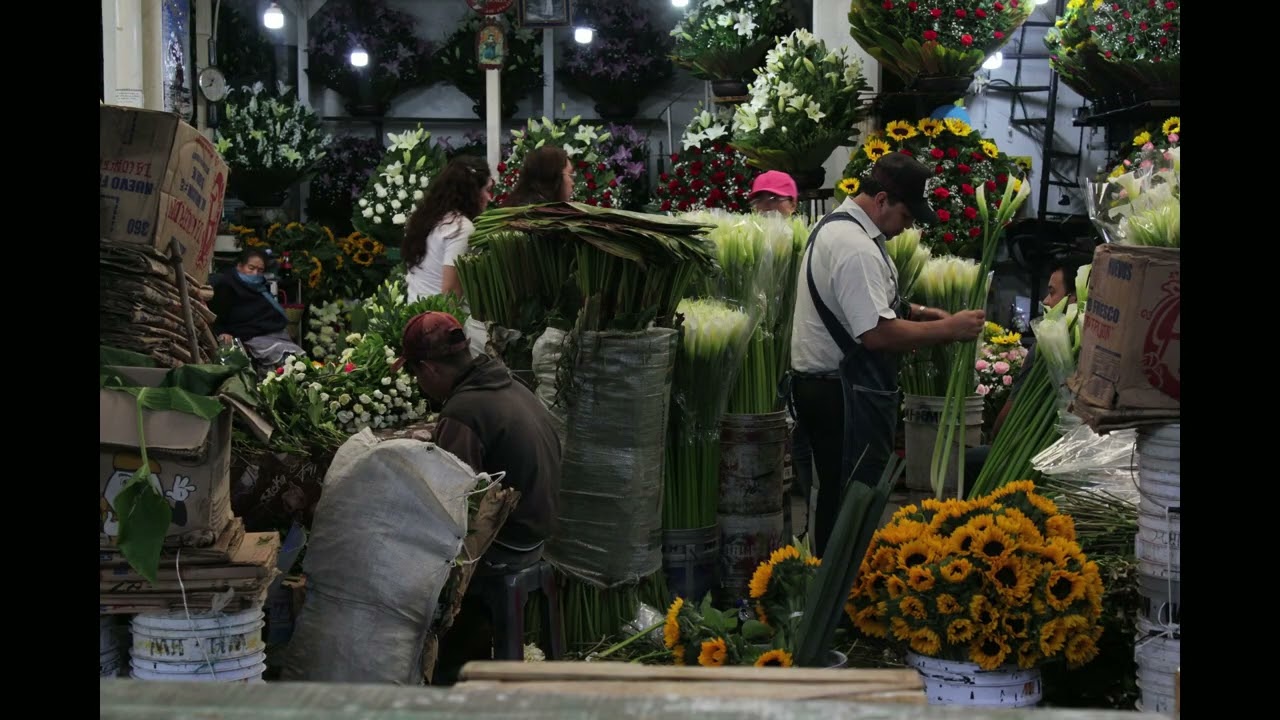Mercado Jamaica - Proyecto Cartografía