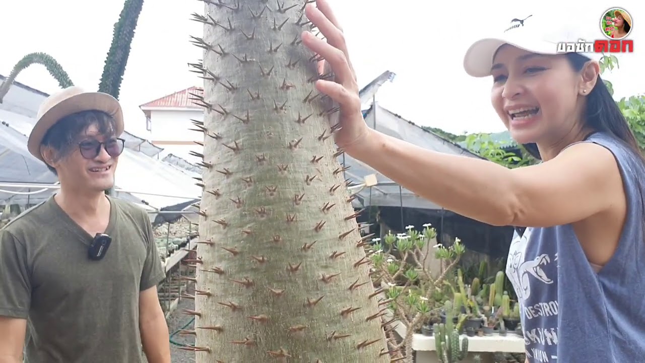 EP.15 สวนไม้ทราย[อ.มารุต] ชื่อต้นไม้แน่นๆในสวนนี้!!!