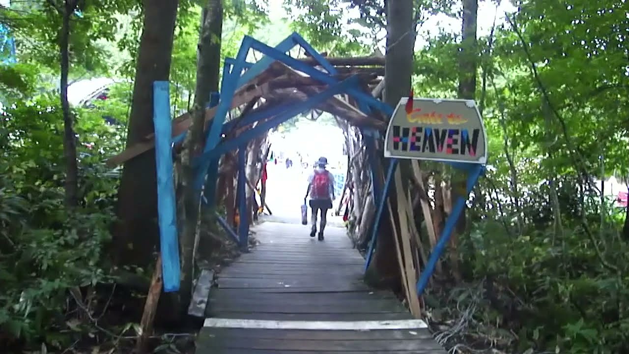 見てください。これが実際のフジロックの様子です。fuji rock festival 21