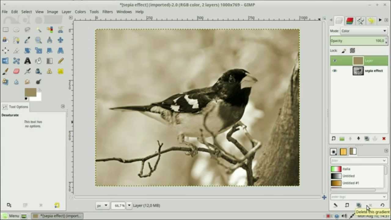 sepia tone inside gimp
