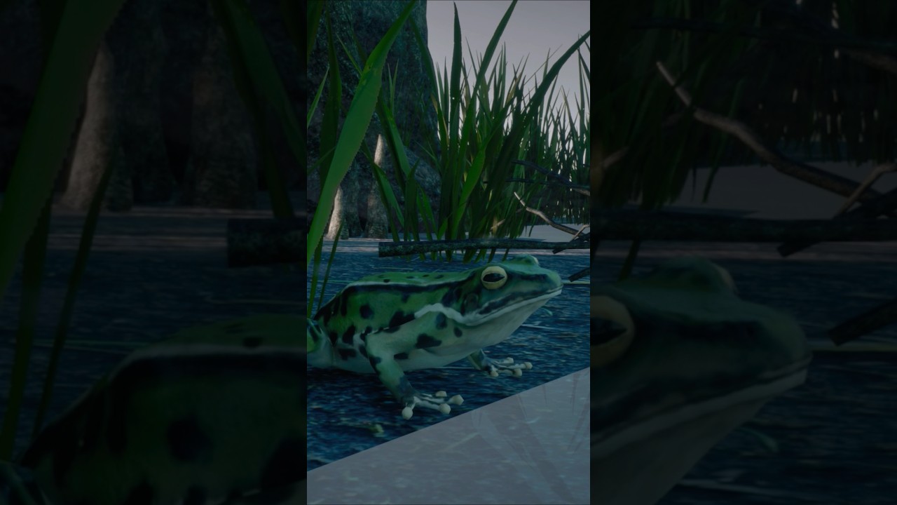 Frogs in their habitat 