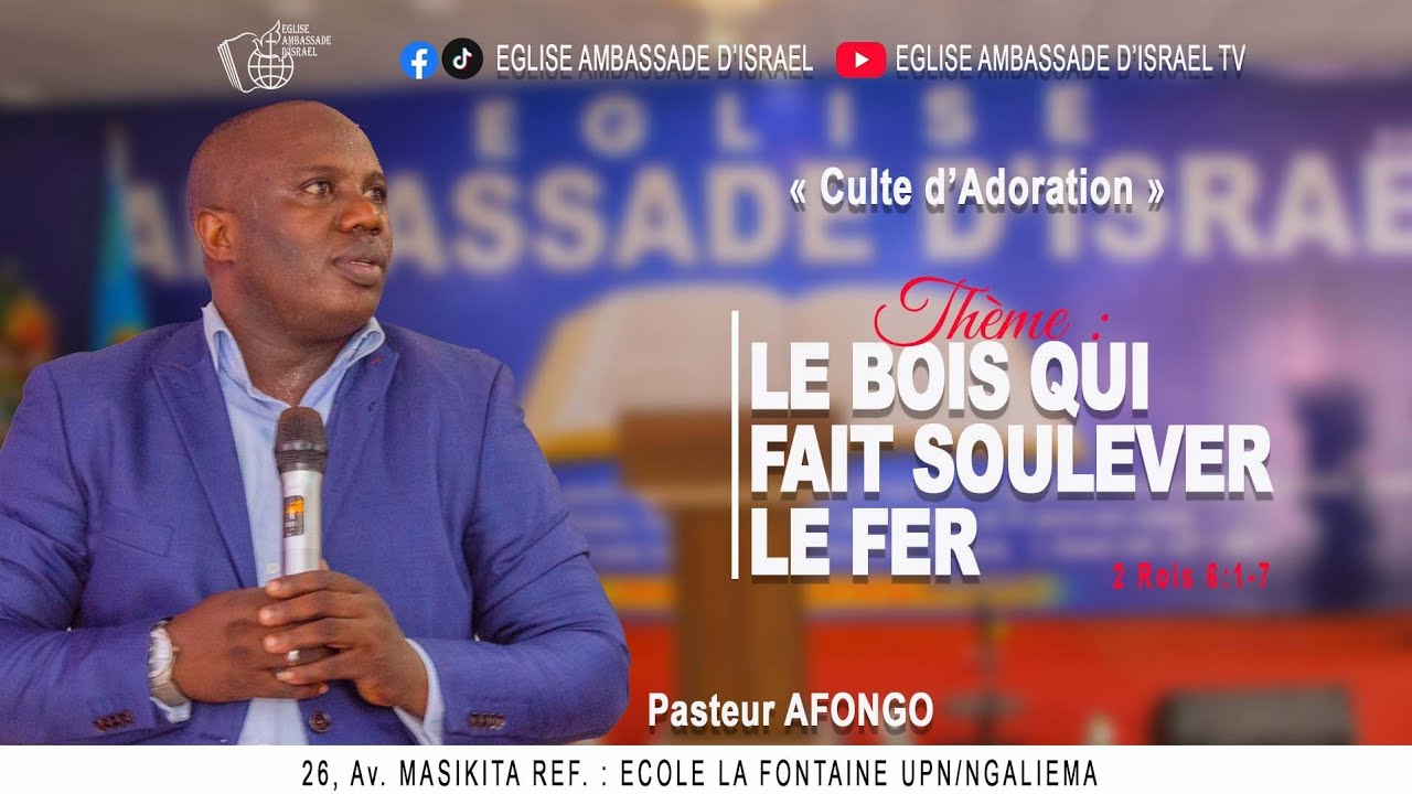 LE BOIS QUI FAIT SOULEVER LE FER.