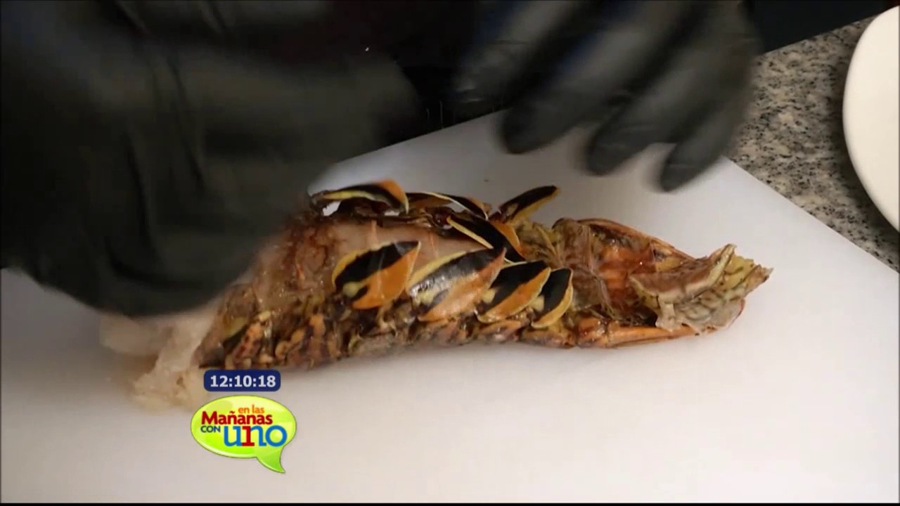 Aprende a preparar un bisque de langosta