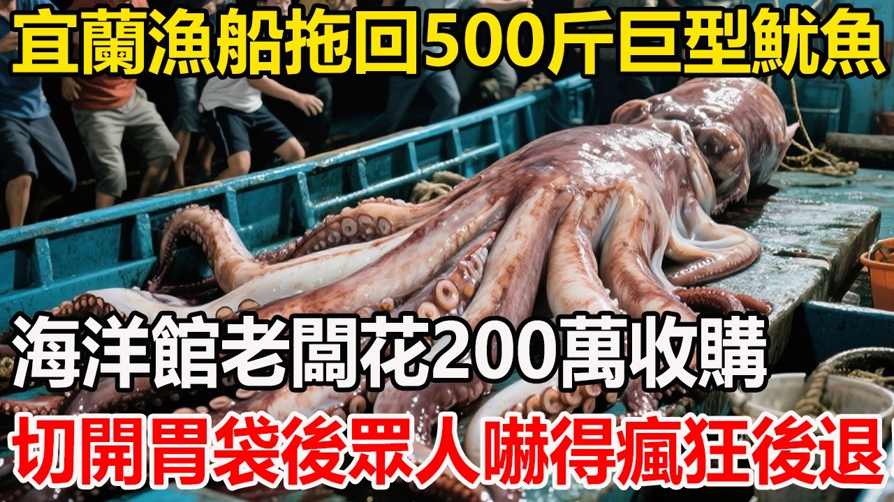 宜蘭漁船拖回一只500斤巨型魷魚，海洋館老闆花200萬收購，切開胃袋後眾人嚇得瘋狂後退！