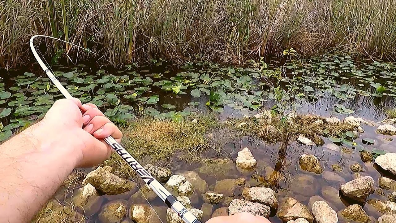 These Fish are STRONGER than I Thought (Everglades Bank Fishing)