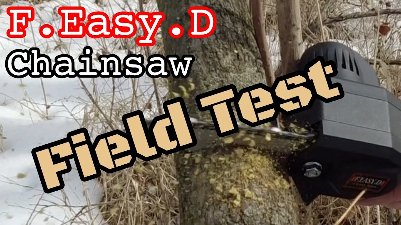 Полевые испытания аккумуляторной цепной пилы F.Easy.D