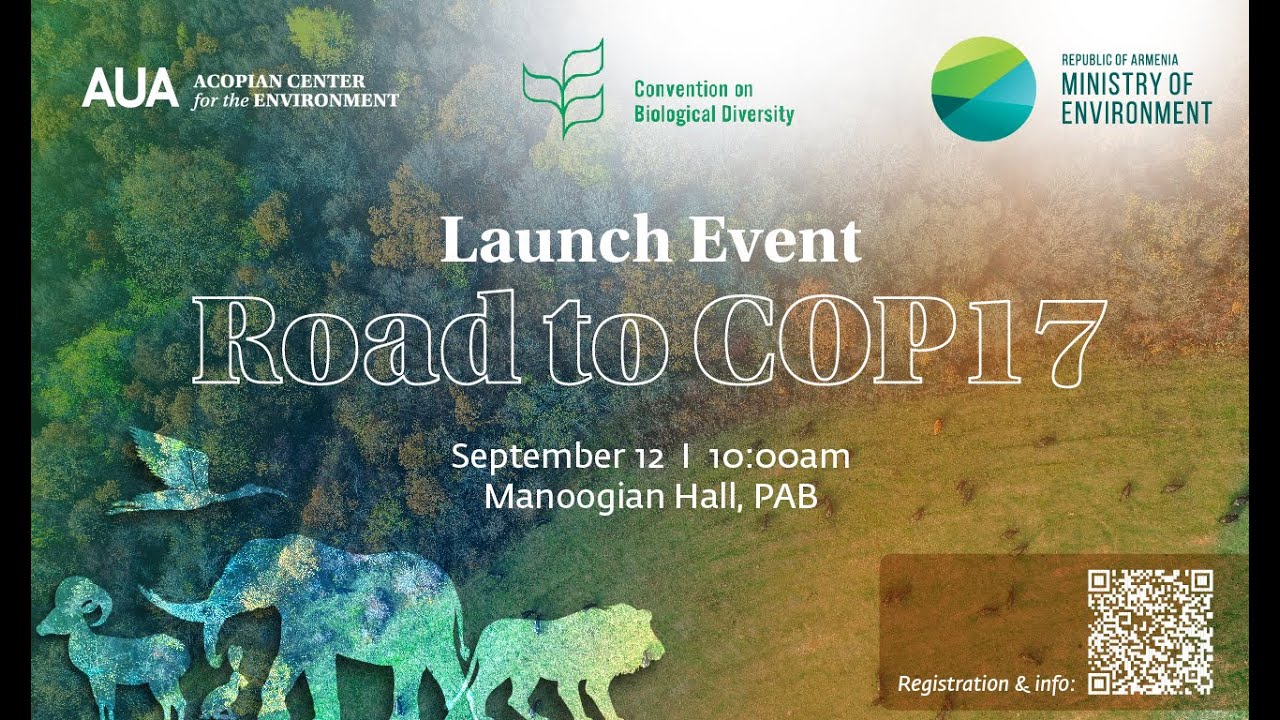 Launch Event: Road to COP17 Initiative