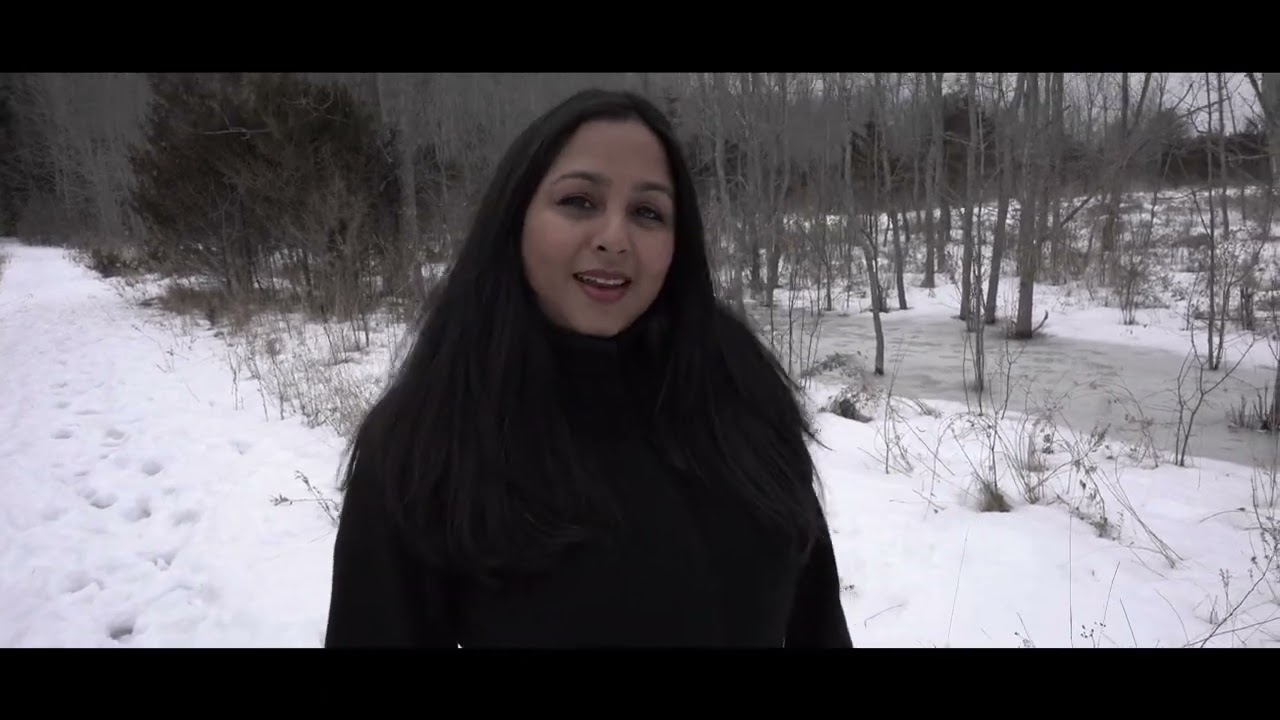 Bahon Ke Darmiyan - Kavita Sookhoo [Bollywood Remix 2022] (Ravi Sookhoo Music)