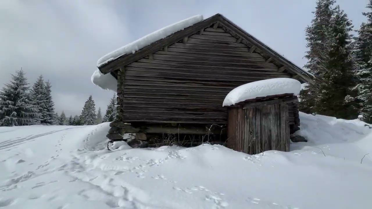 På ski til Løvlia skistue, 01.03.2026
