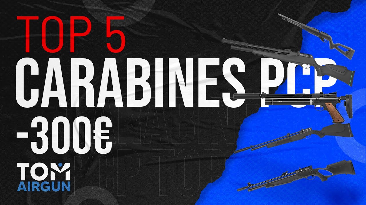 Top 5 carabines PCP à moins de 300€ — Meilleurs rapports qualité/prix 2025
