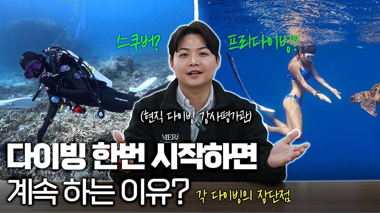 🤿스쿠버vs프리 전격 비교분석! 나에게 맞는 다이빙은?ㅣDR.MER EP.1  #메르 #프리다이빙 #스쿠버다이빙