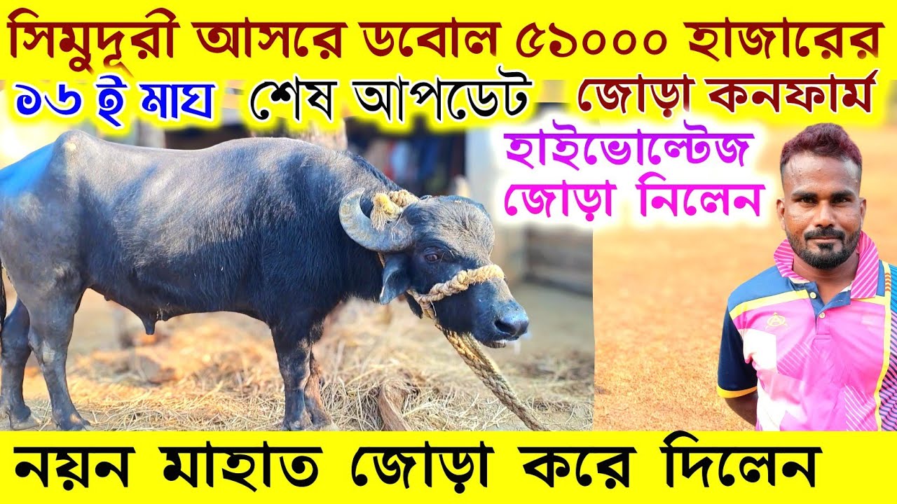 সিমুদূরী আসরে ডবোল ৫১০০০ হাজারের জোড়া কনফার্ম !! নয়ন মাহাত জোড়া করে দিলেন 