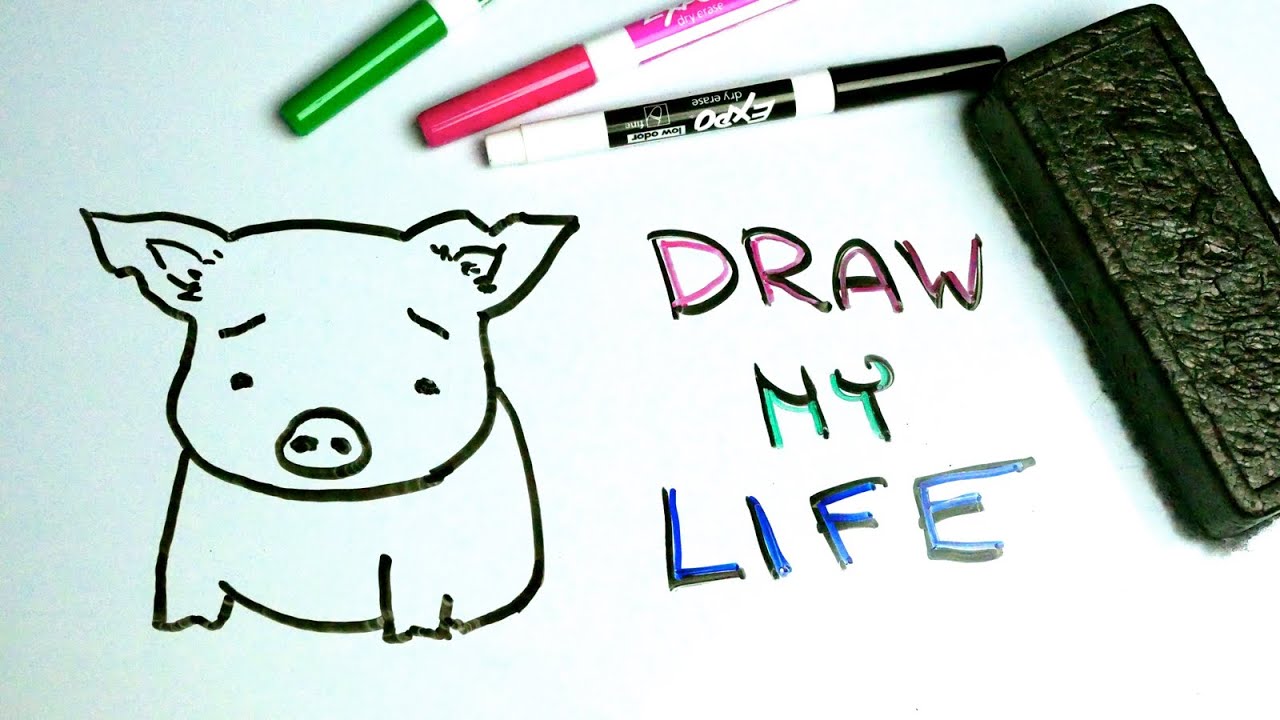 Draw My Life | A Pig in Today's World
