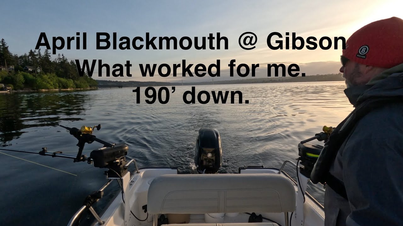 April Blackmouth 200’ on the bottom at Pt Gibson, South Puget Sound