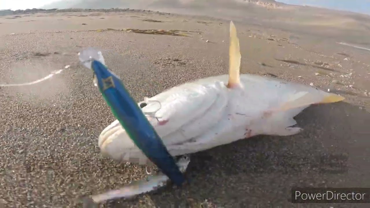 Pesca de MONOS y CORVINA ✌️😎