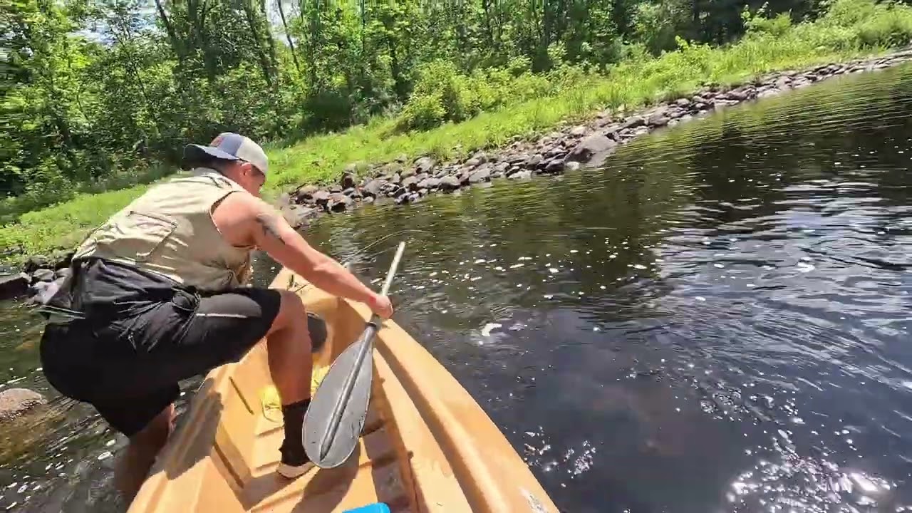Biggest smallies in Maine?? Brutal trek to get to secluded pond! 
