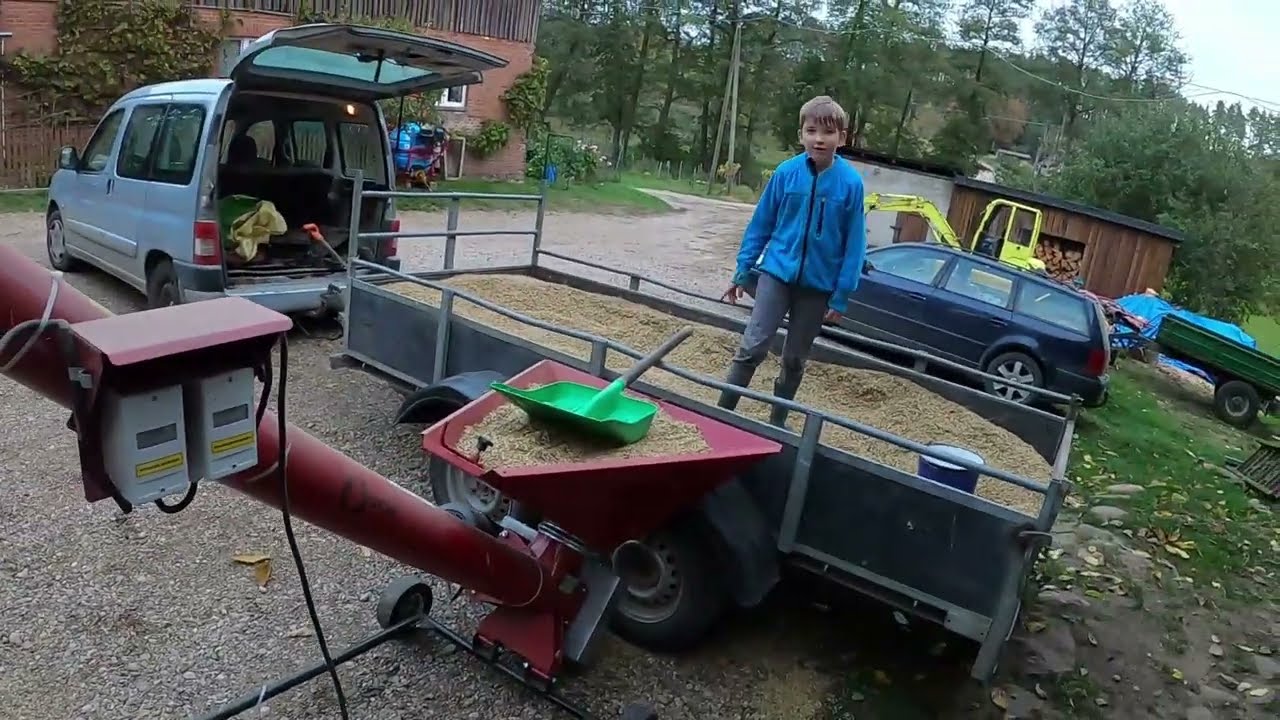 Olek Rozsypał Ziarno☆Czyszczenie Zboża Do Siewu☆