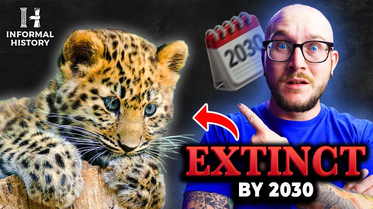 These 5 Animals Will Go Extinct in Our Lifetime