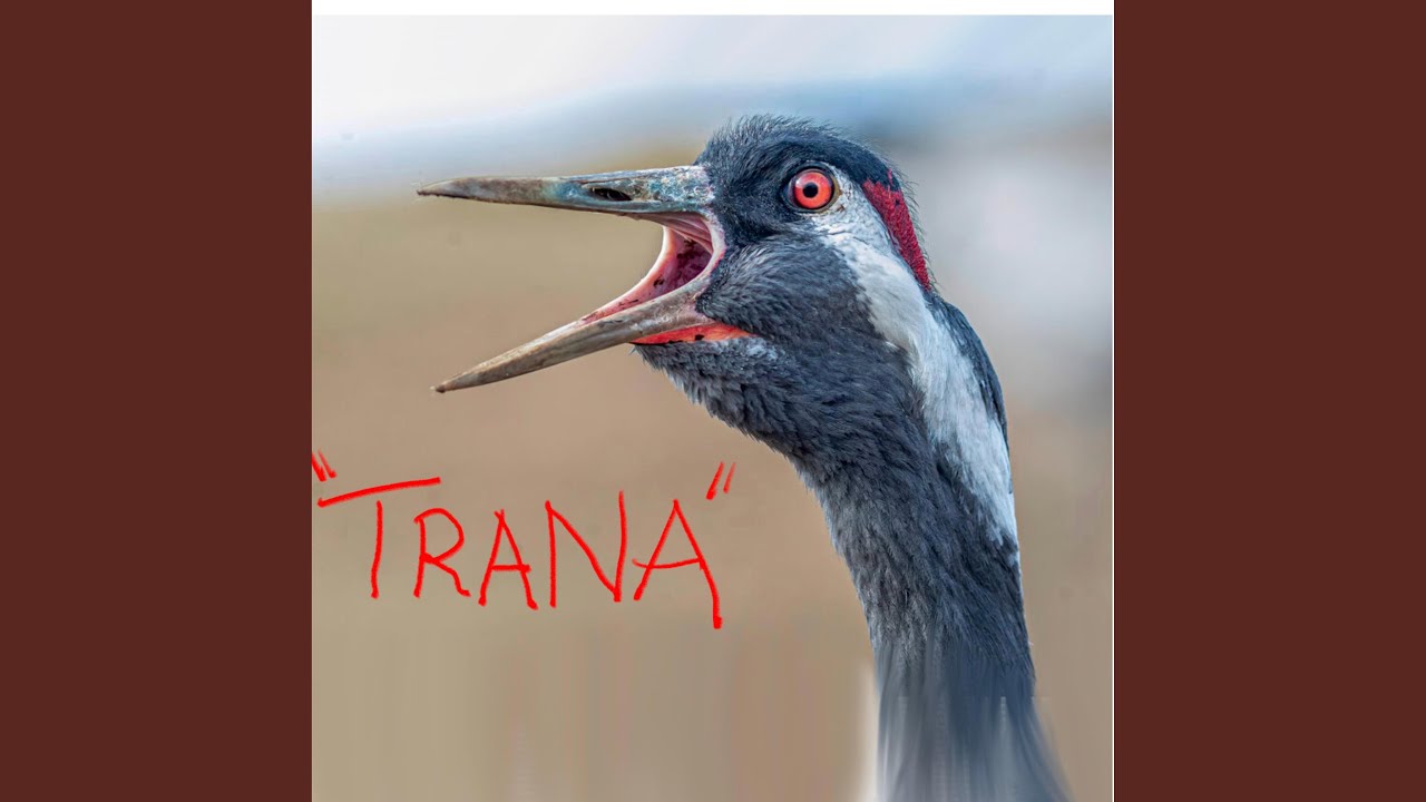 Om kring tiggaren från Luossa