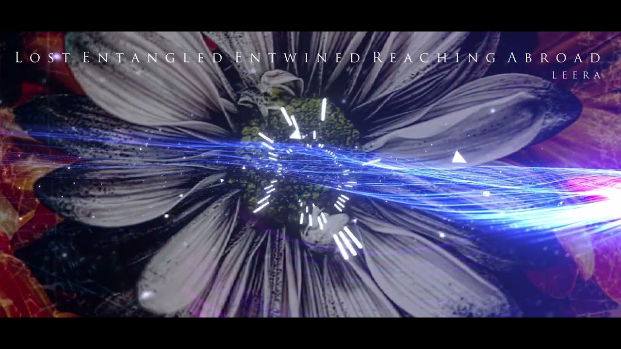 LEERA- Lost Entangled Entwined Reaching Abroad