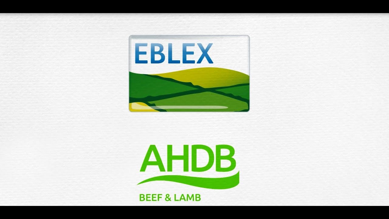 EBLEX becomes AHDB Beef & Lamb. New logo revealed!
