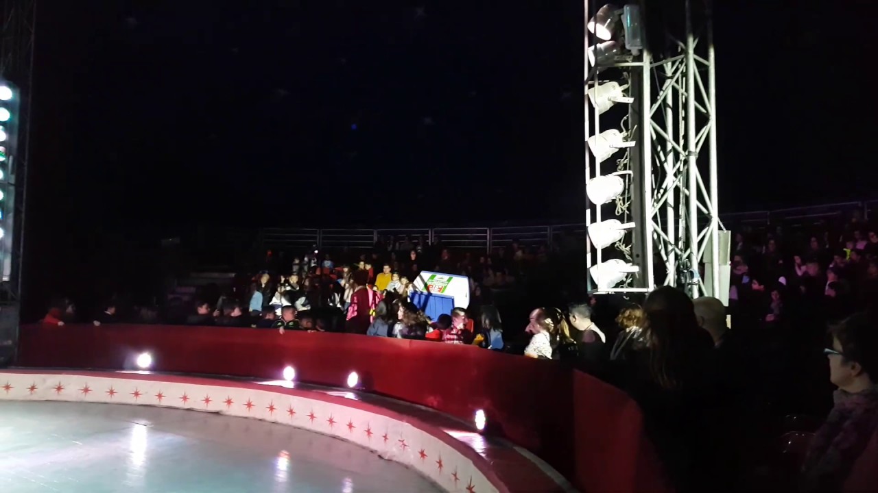 Circo Wonderland promo