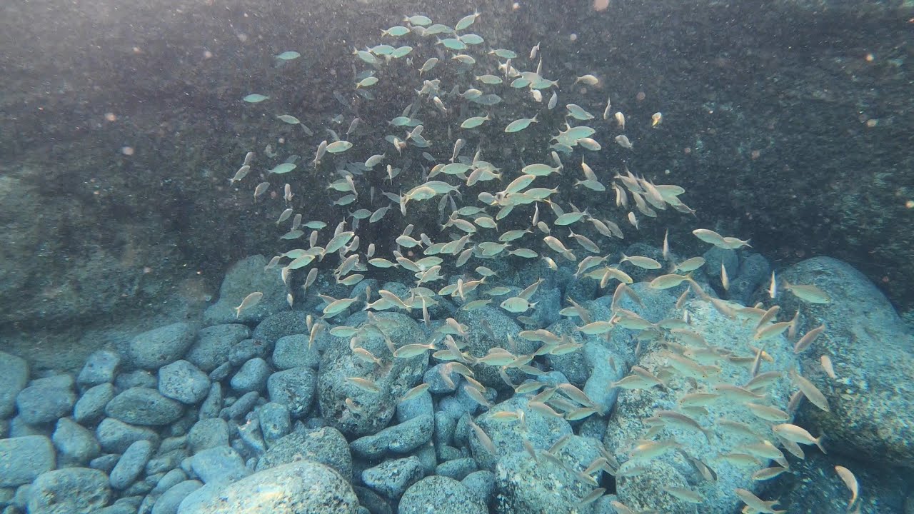 Fuerteventura - swimming in natural pool - walk from Costa de Antigua - Canary Islands