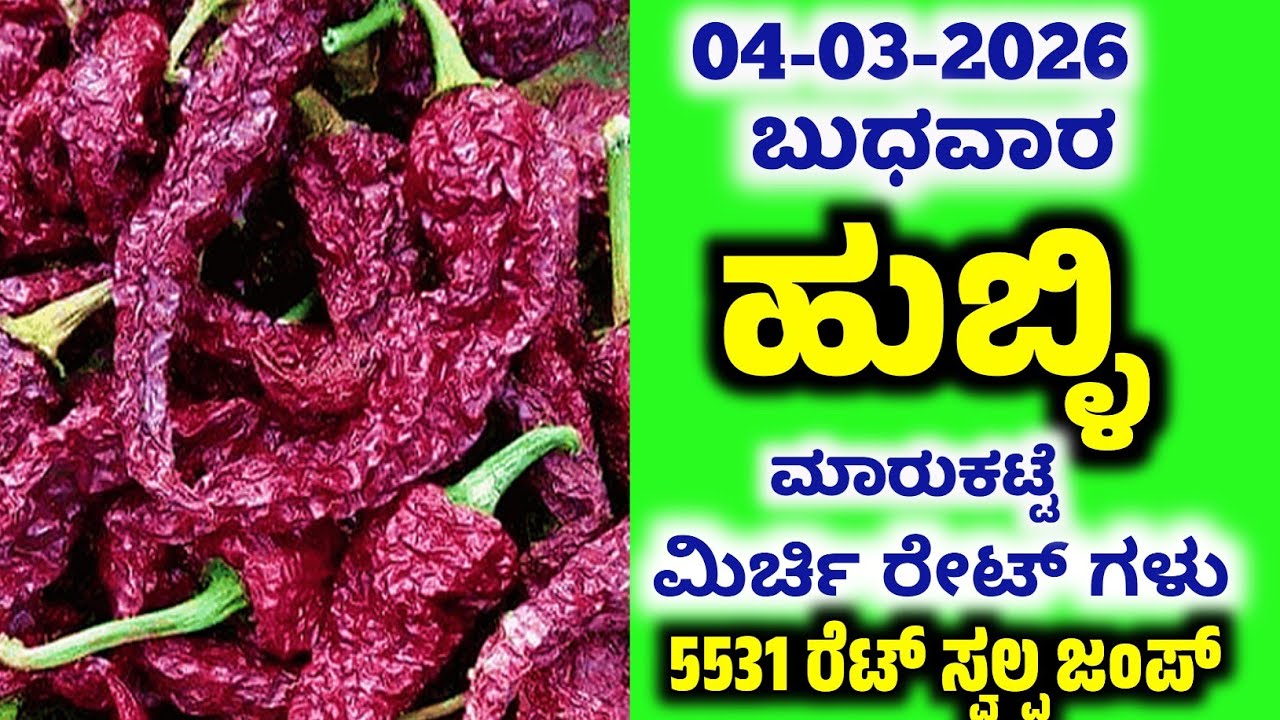 04-03-2026  Hubli Market Mirchi Rates | Today Mirchi Rate | Hubli Market | Byadgi Market #mirchirate