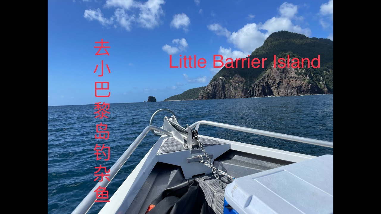 Little Barrier Island fishing  小巴黎岛钓杂鱼【NZ Lucy Vlog 40】