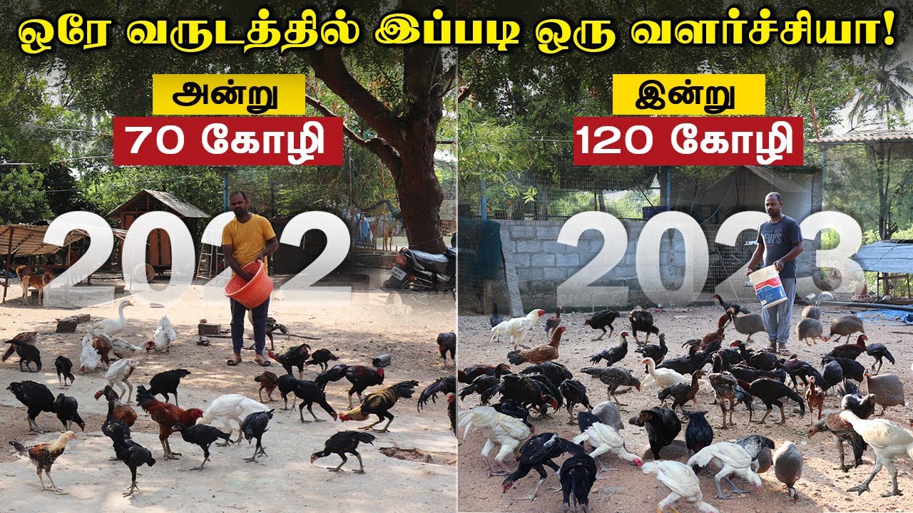 ஒரே வருடத்தில் இப்படி ஒரு வளர்ச்சியா! | #Mk Peruvidai Farm
