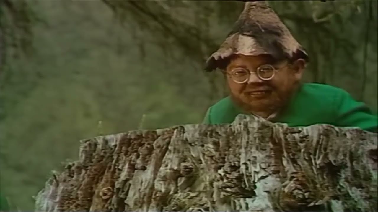 yet another flute dnb with a gnome in the music video