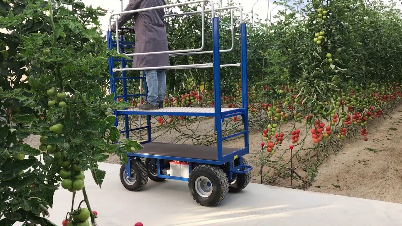 Andamio eléctrico Invernadero, fabricante,manufacturer, equipment,machinery,trolley,greenhouse,serre