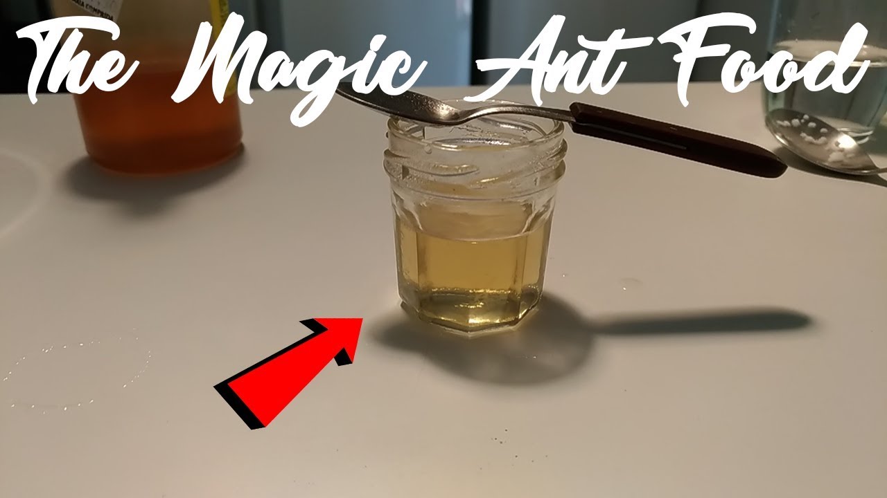 HOW TO MAKE ANT FOOD