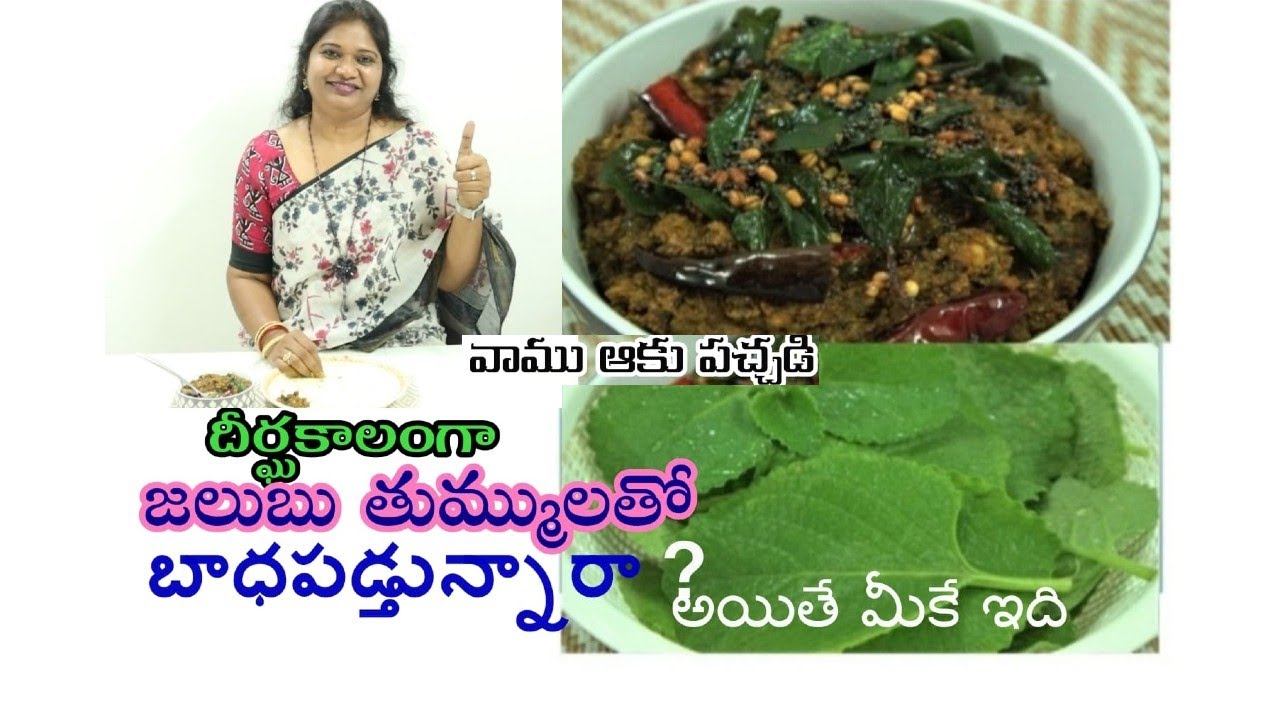 Vaamu Aaku Pachadi మీరువద్దన్నాపెరిగే వాము ఆకు పచ్చడి,ఒక్క సారి రుచి చూశారంటే మళ్ళీ మళ్ళీ కావాలంటారు