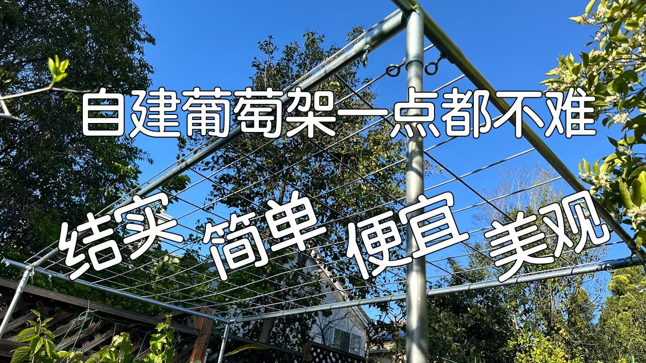 【DIY】搭个结实简单美观便宜的葡萄架｜自建EMT钢管葡萄架比你以为的容易多了