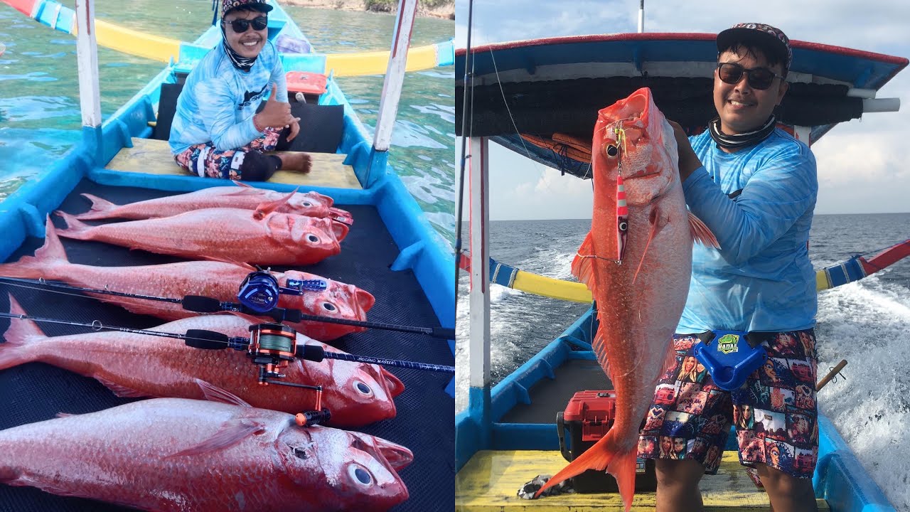 Spotnya ruby snaper babon || jigging bali