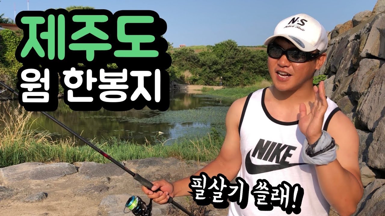 과연 제주도의 배스를 잡을 수 있을까? (feat.노싱커)