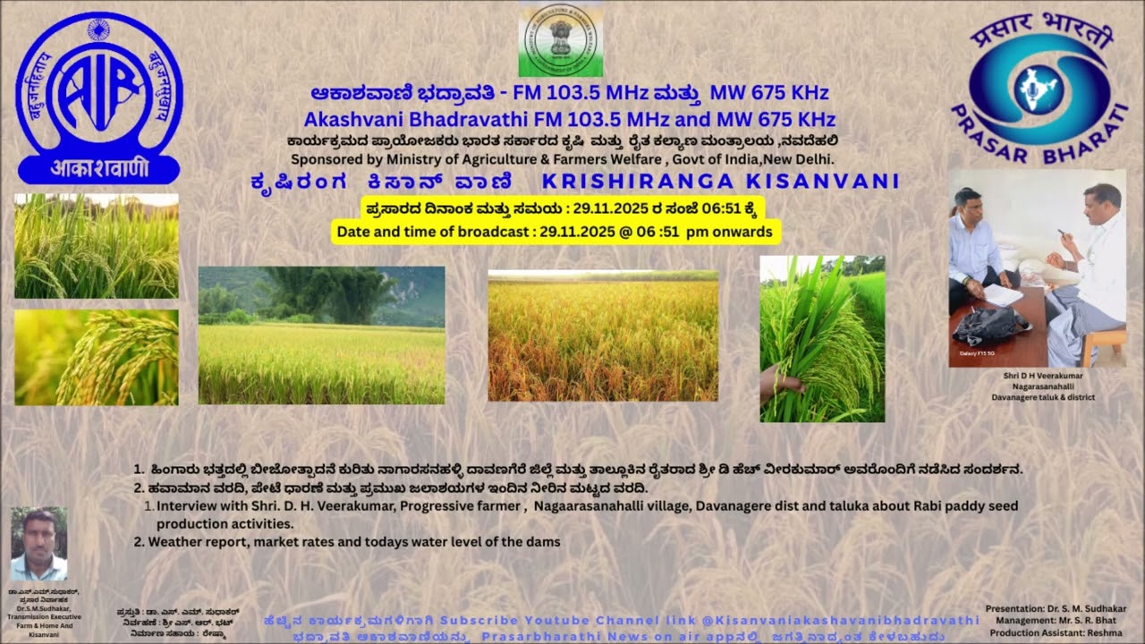 ಹಿಂಗಾರು ಭತ್ತದಲ್ಲಿ ಬೀಜೋತ್ಪಾದನೆ ಕುರಿತು