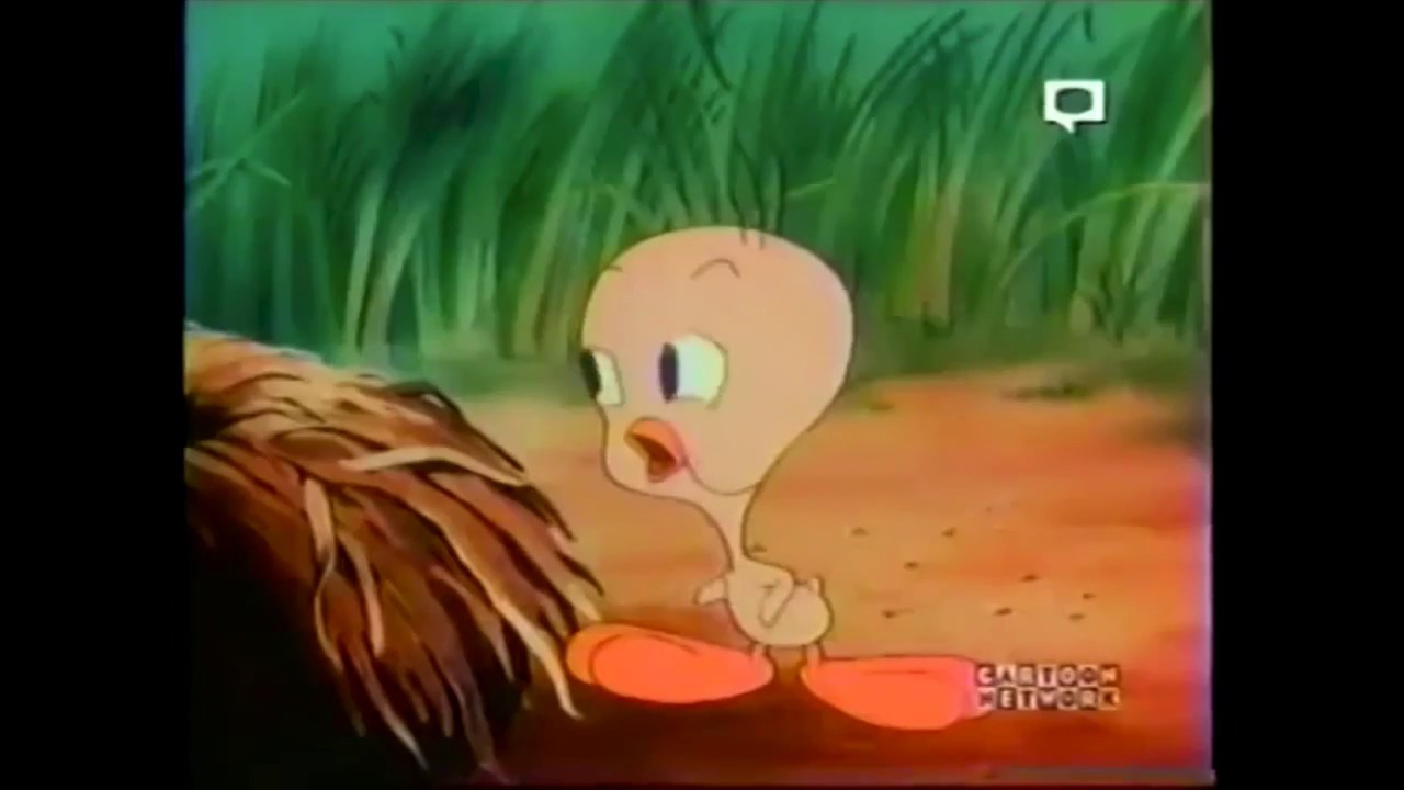 Cartoon Network - January 2004 Promos & Bumps