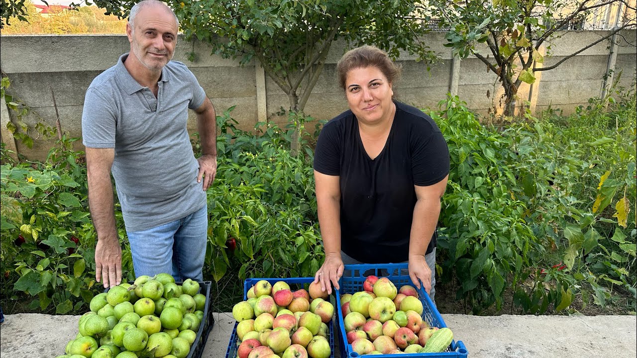 Bahçemizde Bir Gün| Eşimle Birlikte Kasalarımızı Elmalarla Dolduruyoruz!