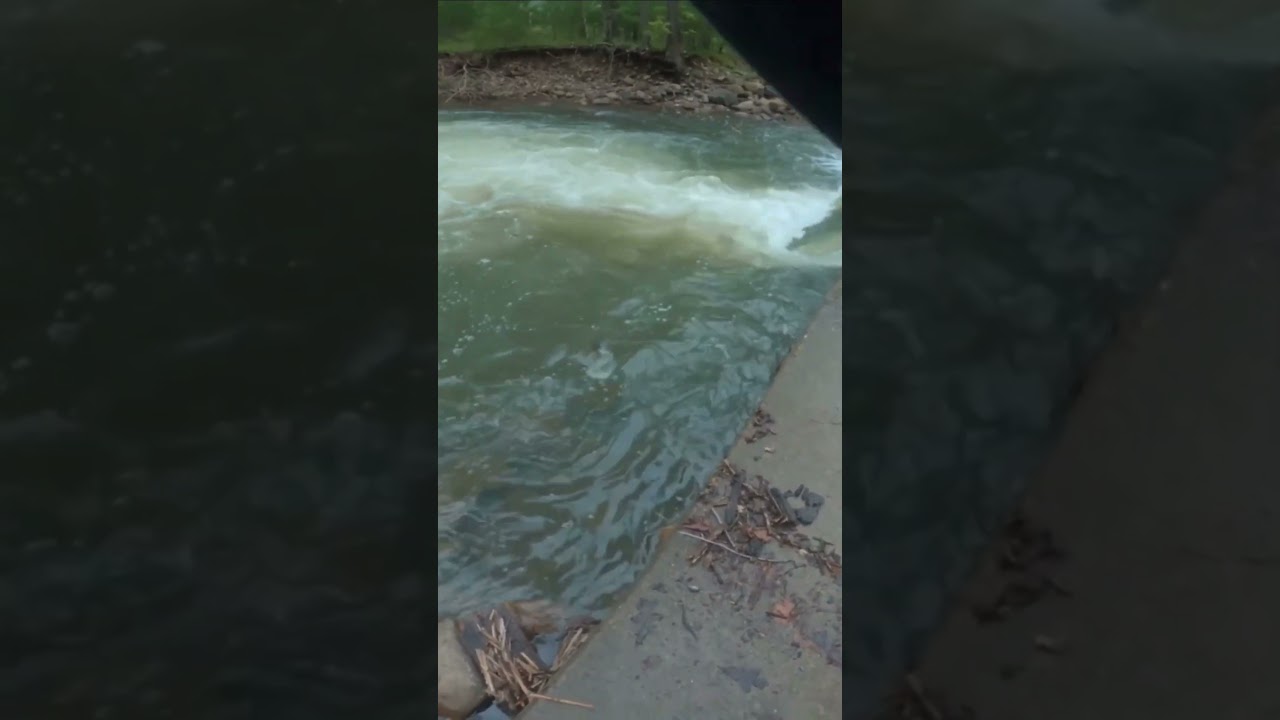 HUGE Brown Trout Hung In Spillway!!