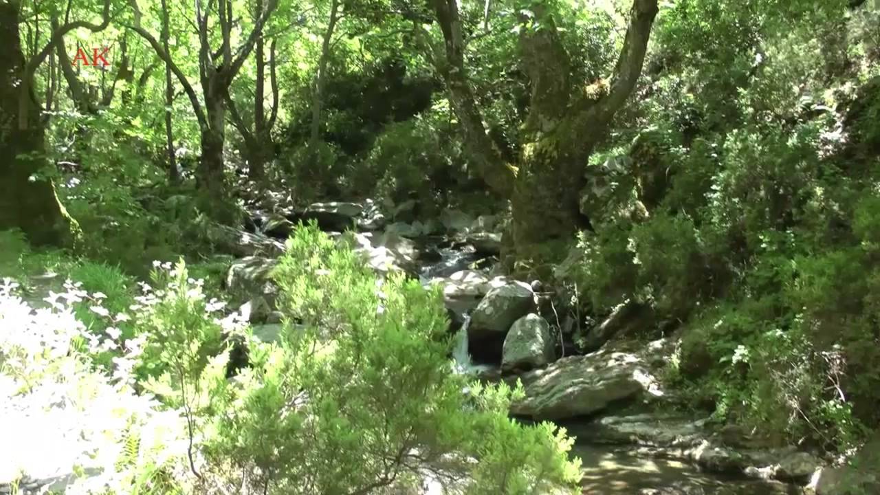 2015 06 13 Φαράγγι Δημοσάρη με τον Φυσιολάτρη Νίκαιας