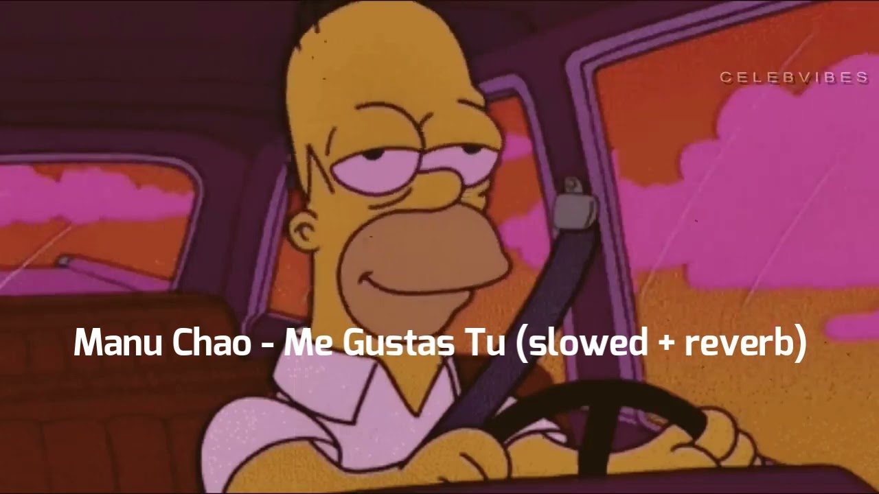 Manu Chao - Me Gustas Tu (slowed + reverb)