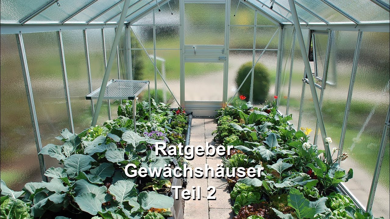 RegioTV Bauen&Wohnen: Beckmann Gewächshaus - Richtige Belüftung